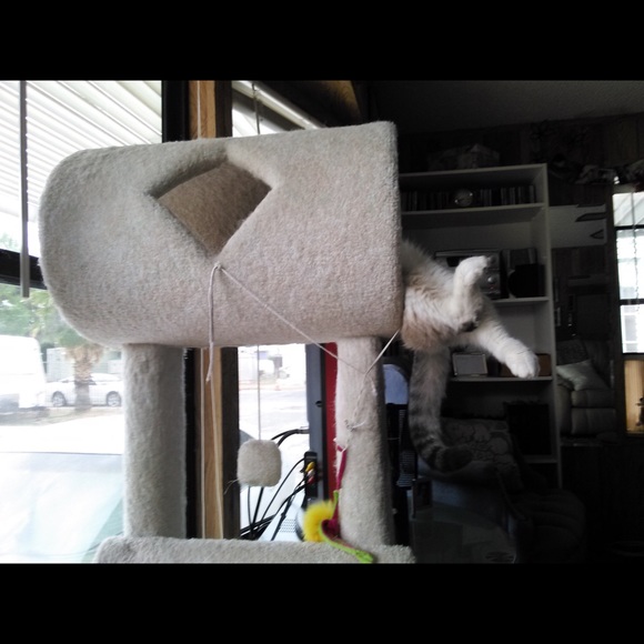 To Bookmark ChoosyShop’s Closet, Like this Listing - Picture 6 of 16